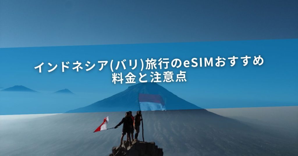 インドネシア(バリ)旅行のeSIMおすすめ｜料金と注意点